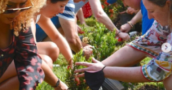 Grenadaโs New Voluntourism Program Offers Authentic Experiences For Visitors Looking To Make An Impact