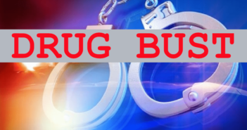 Multiple Drug Busts