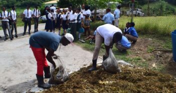 SAEP Is Ensuring Livestock Farmers In Carriacou Have Sufficient Feeding For Their Animals