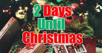 COUNT DOWN TO CHRISTMAS CITY ABUZZ